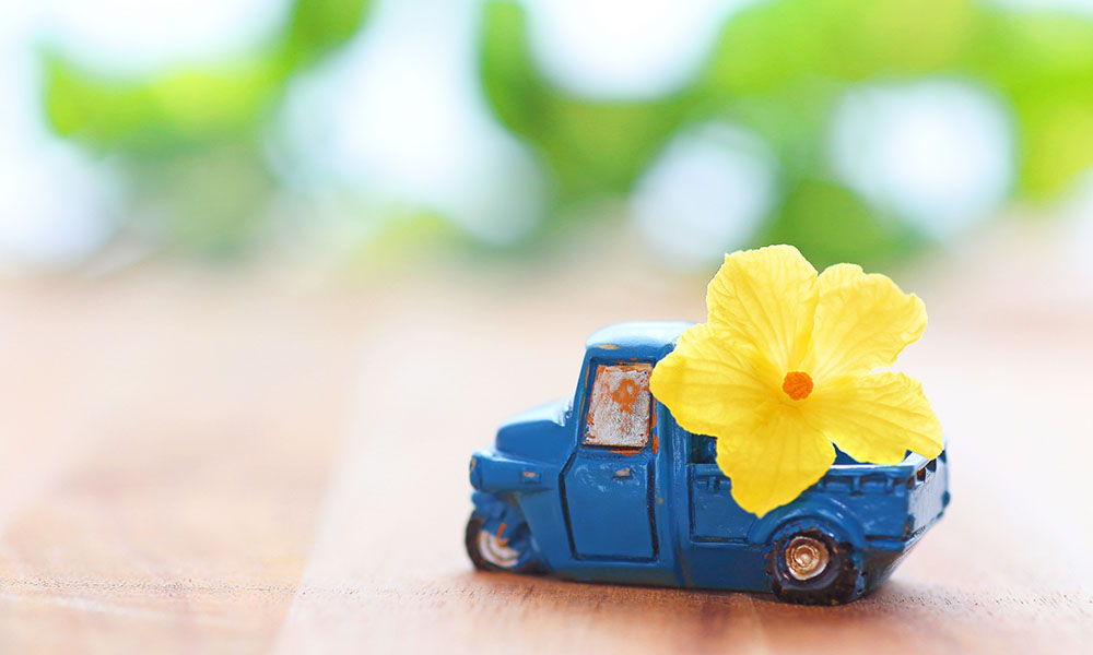 お客様のもとへ「安心」をお届け